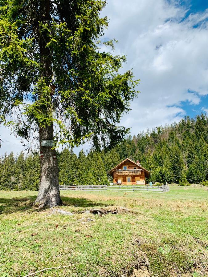 Bergheimat Bad Goisern
